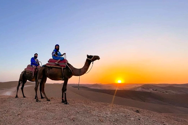 Camel Ride in The PalmGrove or Agafay Desert